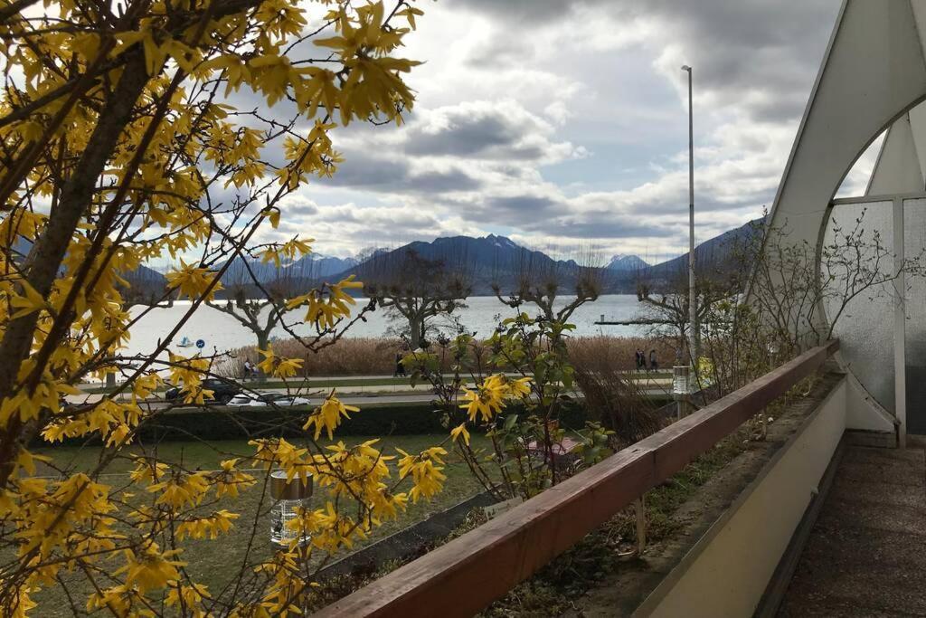 Chez Jacques - Terrasse Avec Vue Lac Et Montagne Annecy Buitenkant foto